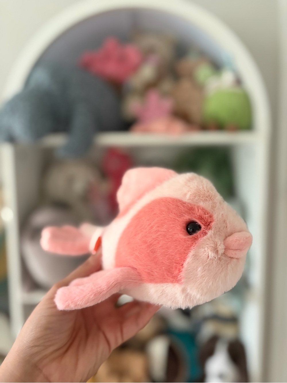 Jellycat Fancy Carp - Authentic & BNWT!